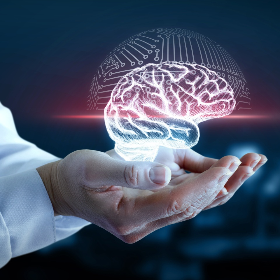 No description metadata found