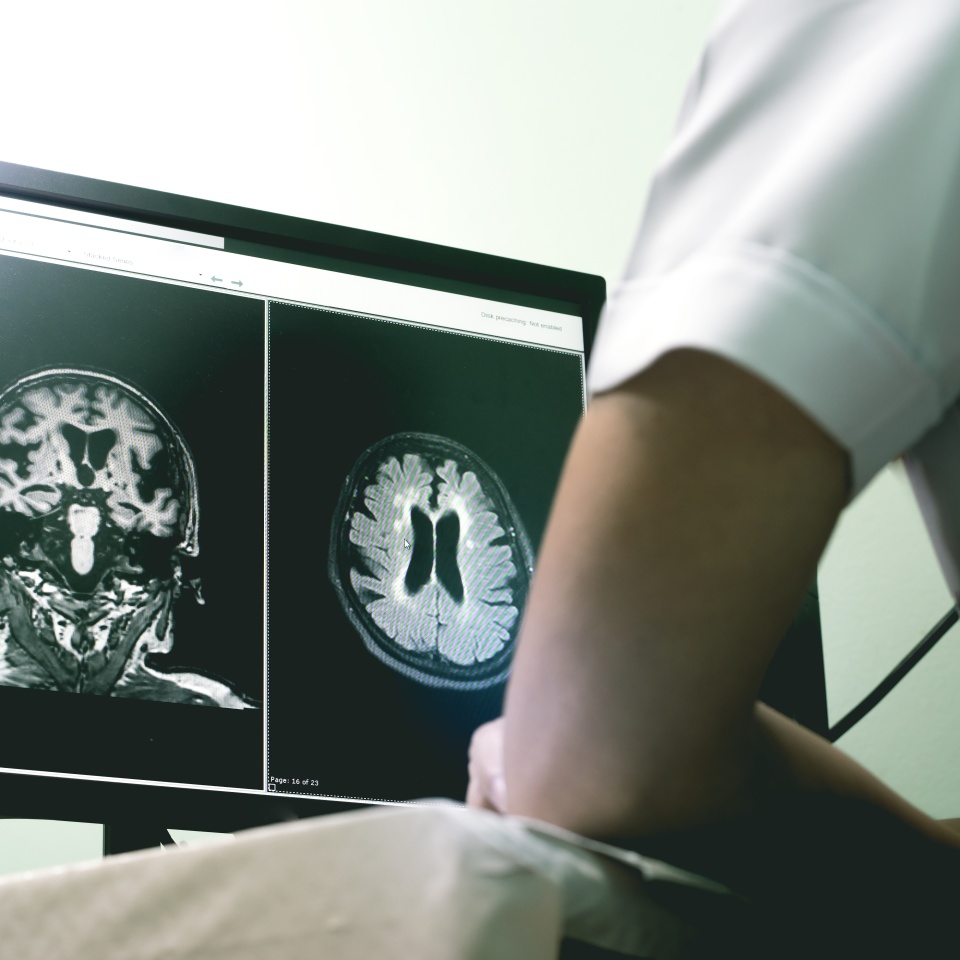 No description metadata found