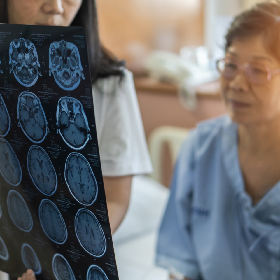 No description metadata found