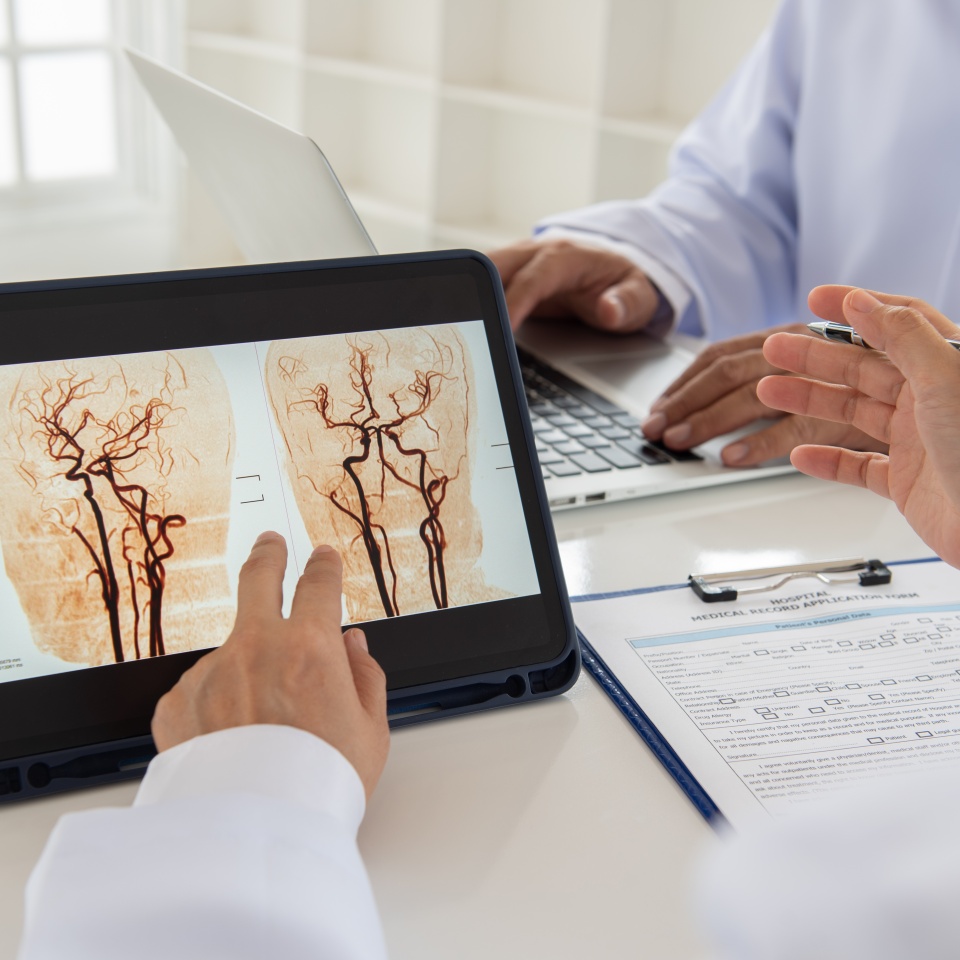 No description metadata found