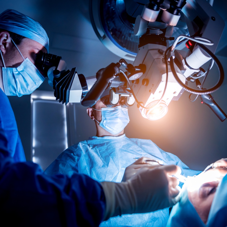 No description metadata found