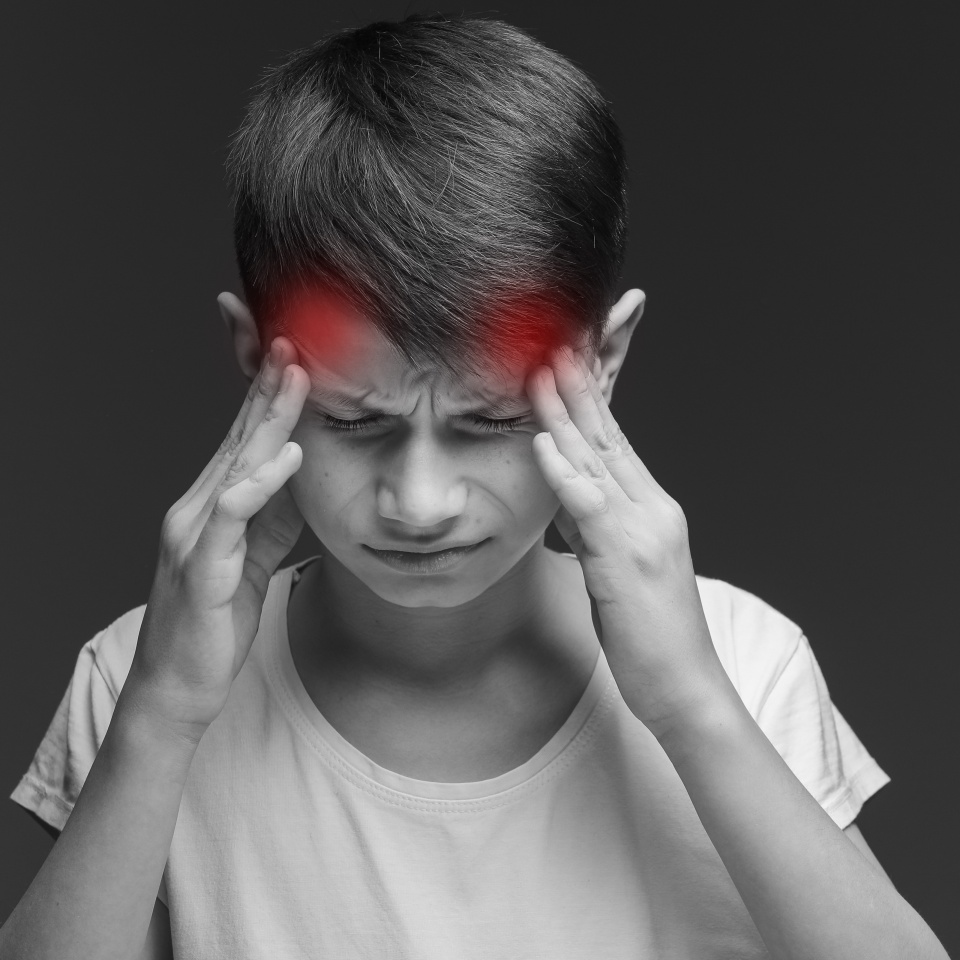 No description metadata found