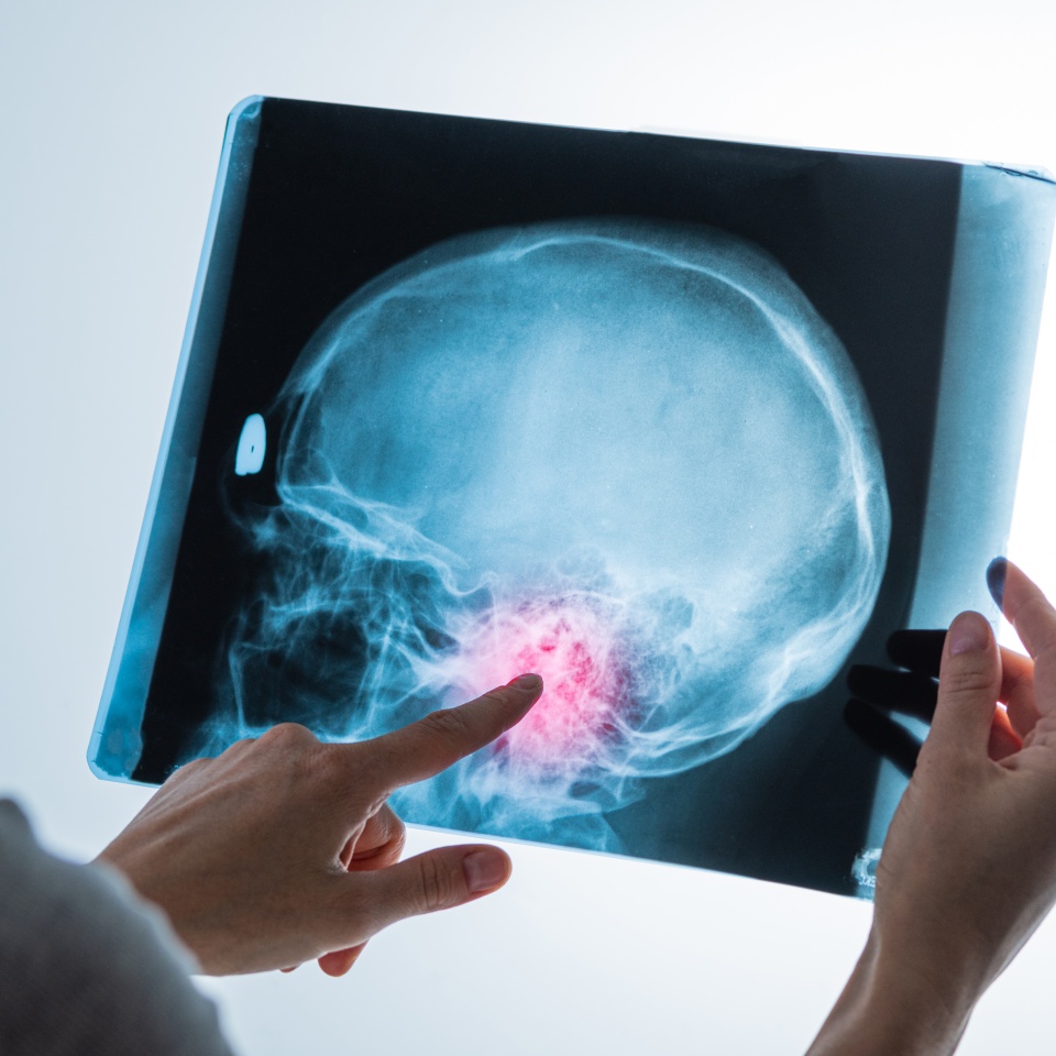 No description metadata found