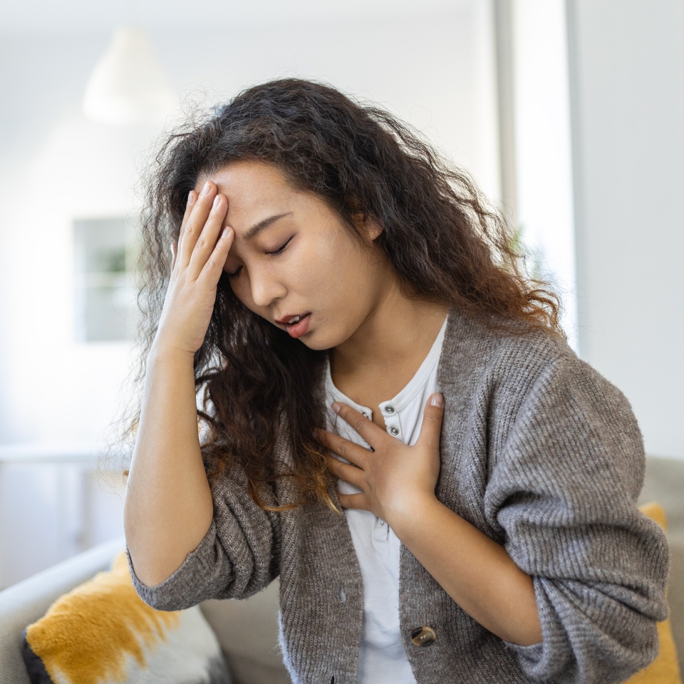 No description metadata found