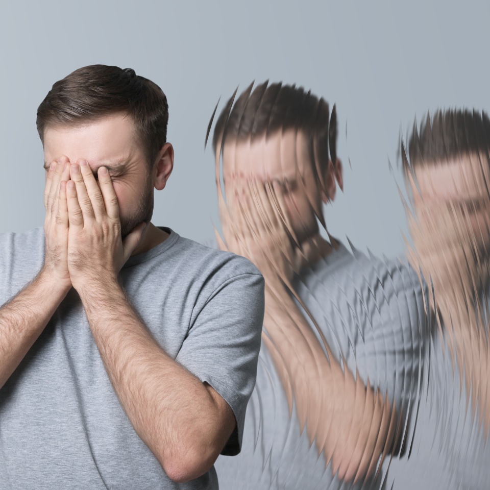 No description metadata found