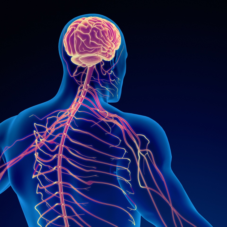 No description metadata found