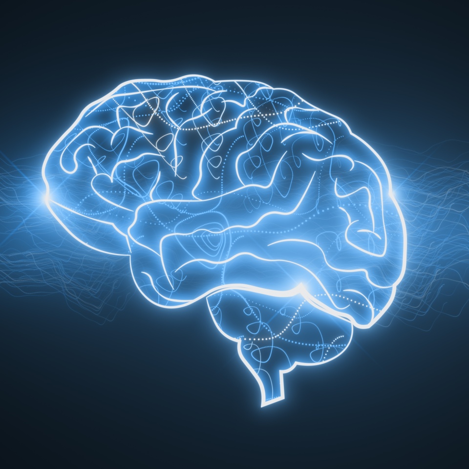 No description metadata found