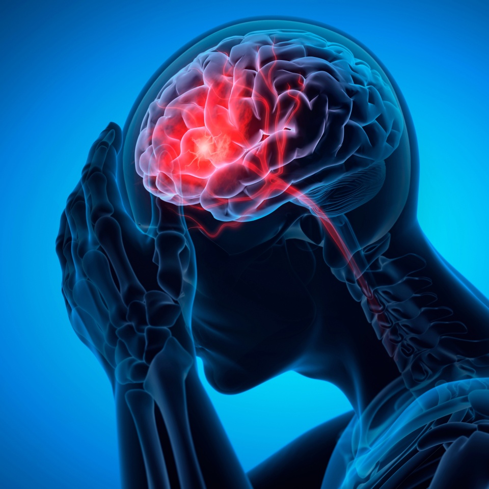 No description metadata found