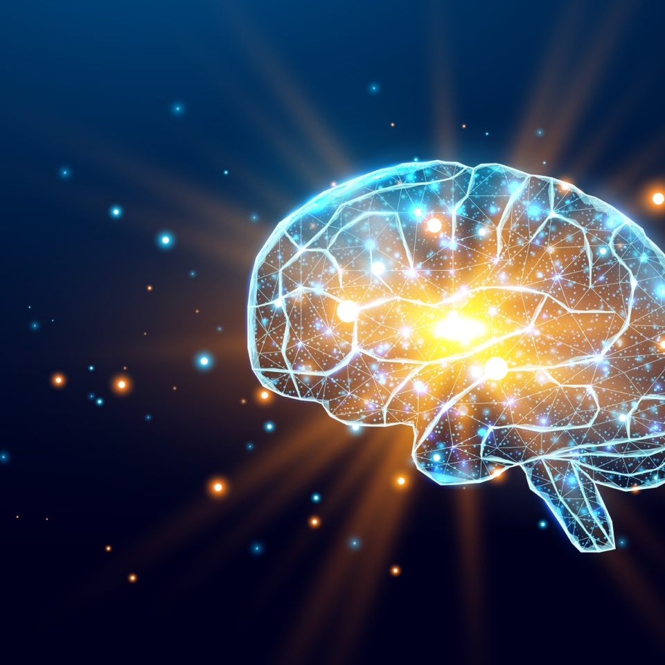 No description metadata found