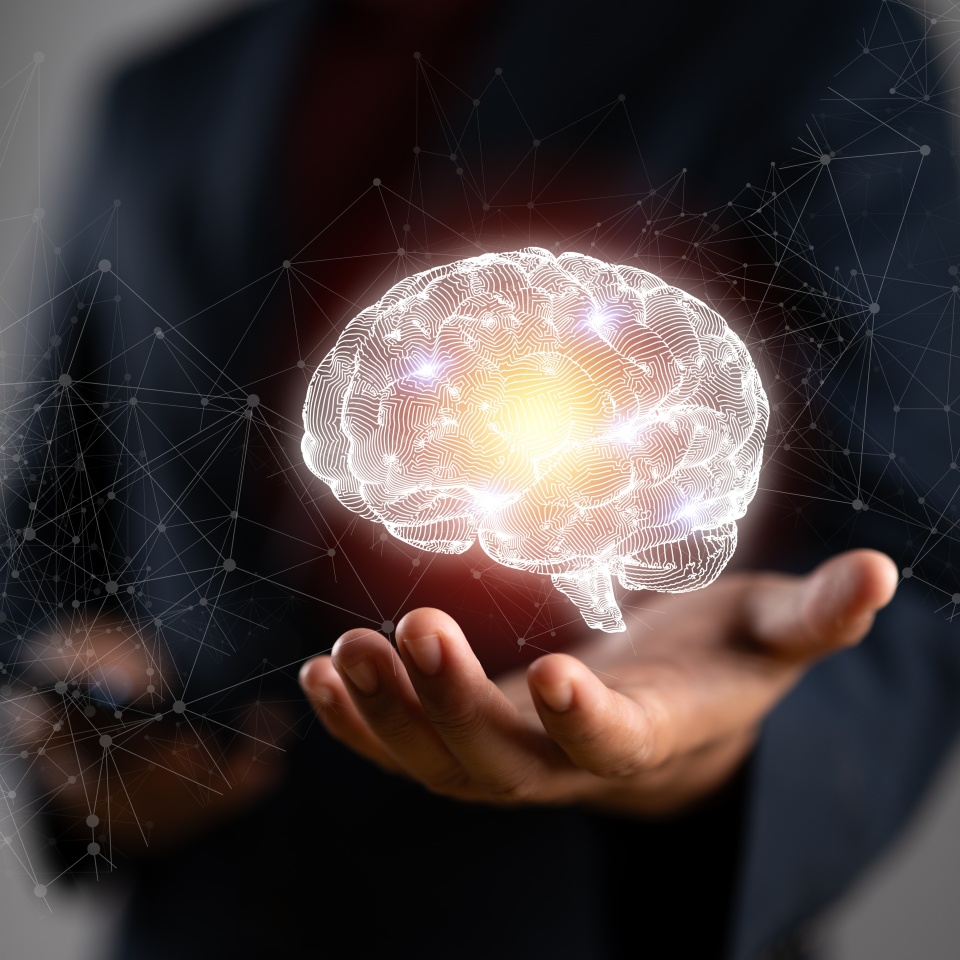 No description metadata found