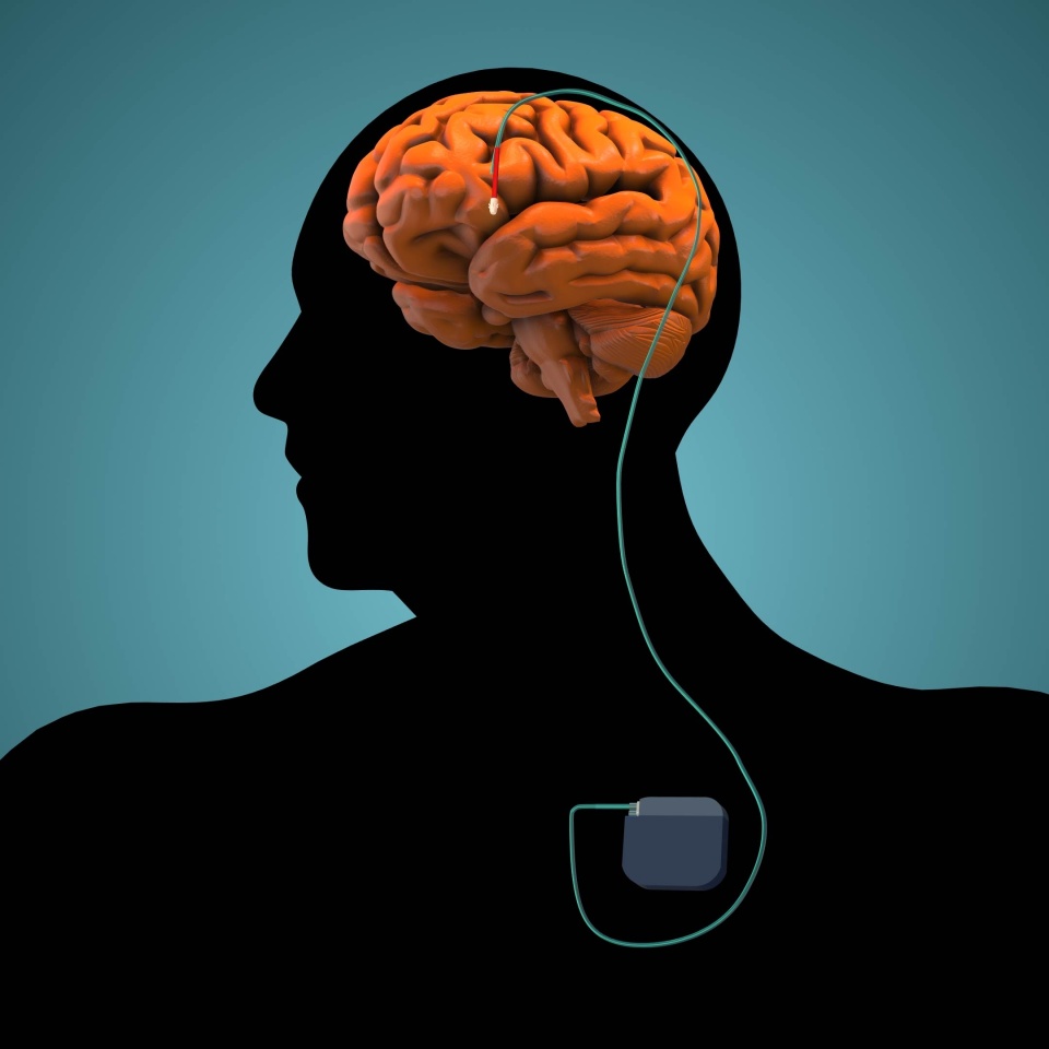 No description metadata found