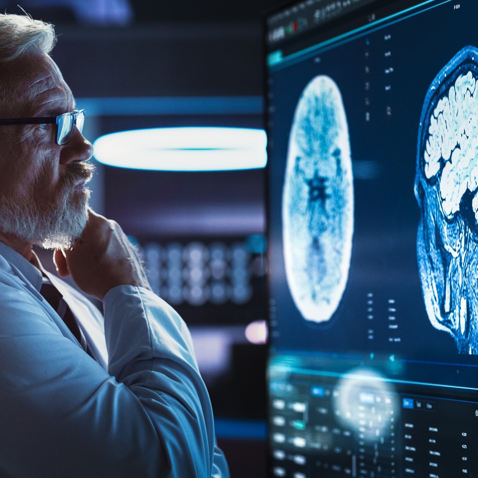 No description metadata found