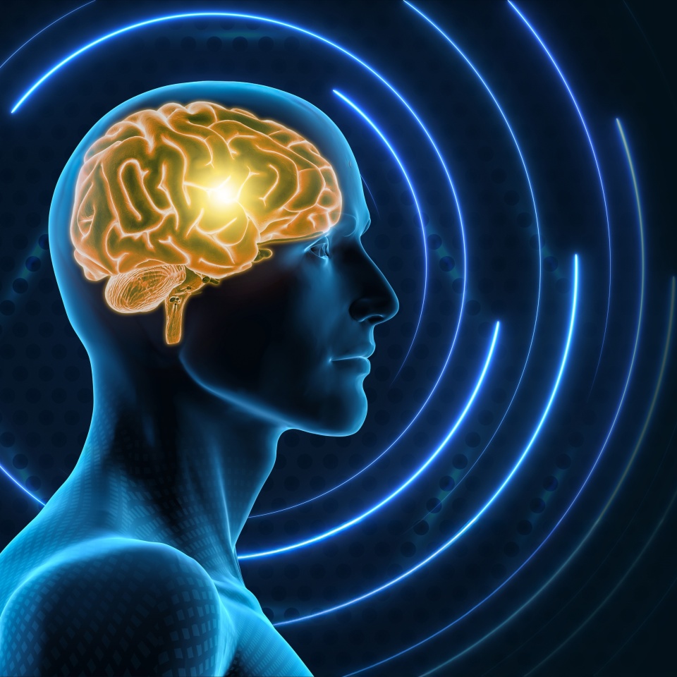 No description metadata found