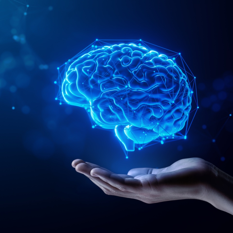 No description metadata found