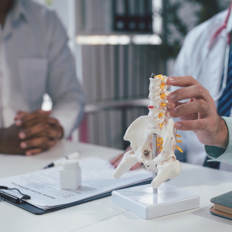 No description metadata found