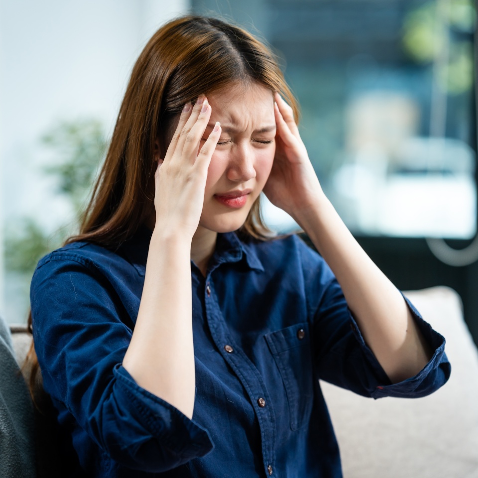 No description metadata found