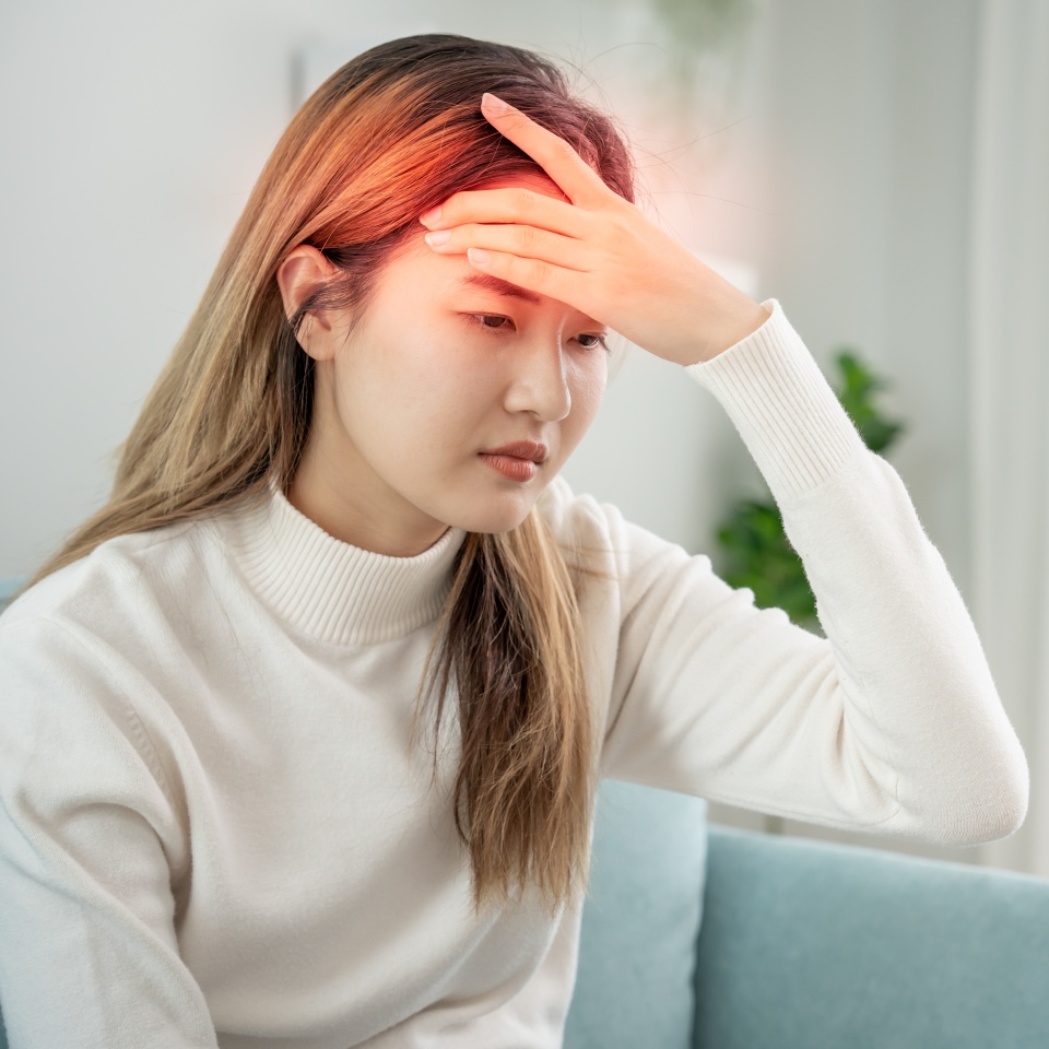 No description metadata found