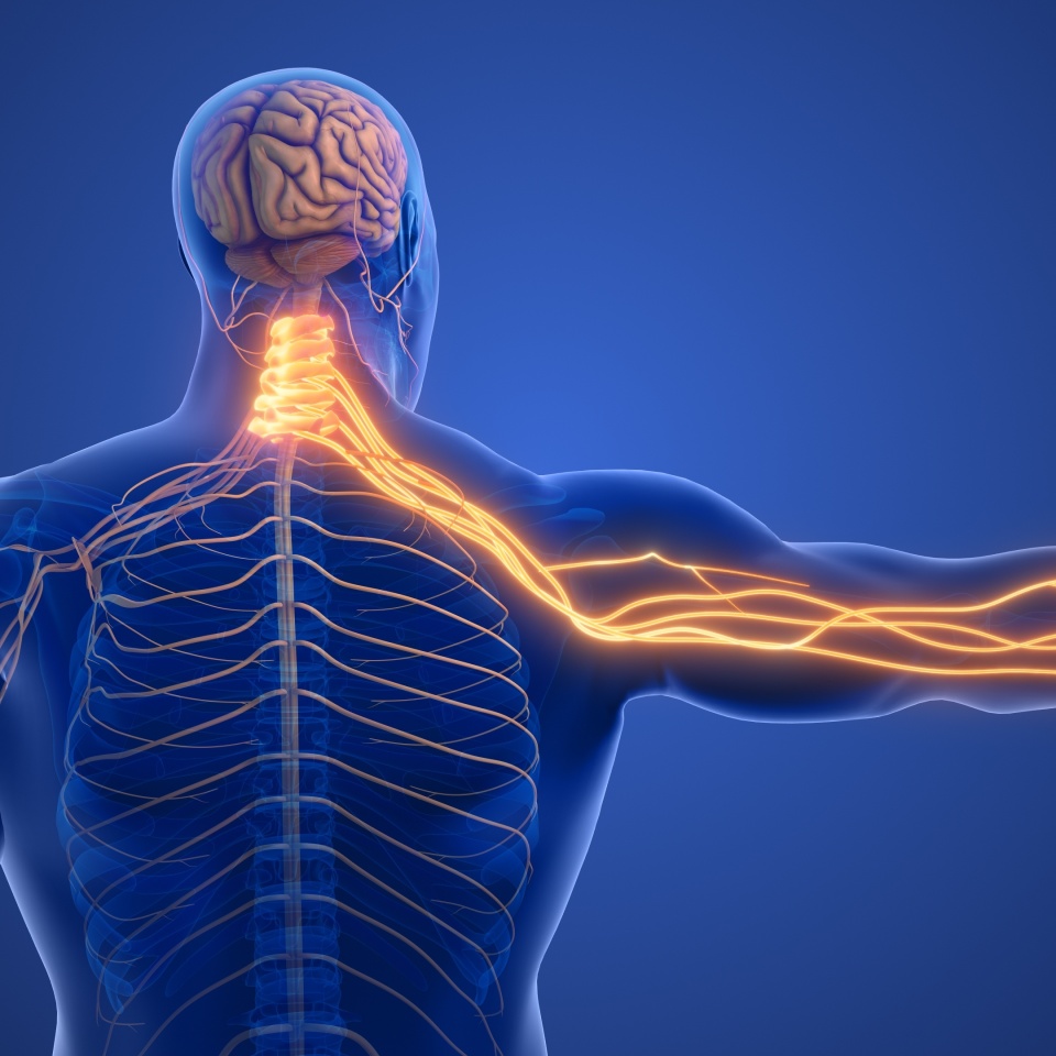 No description metadata found