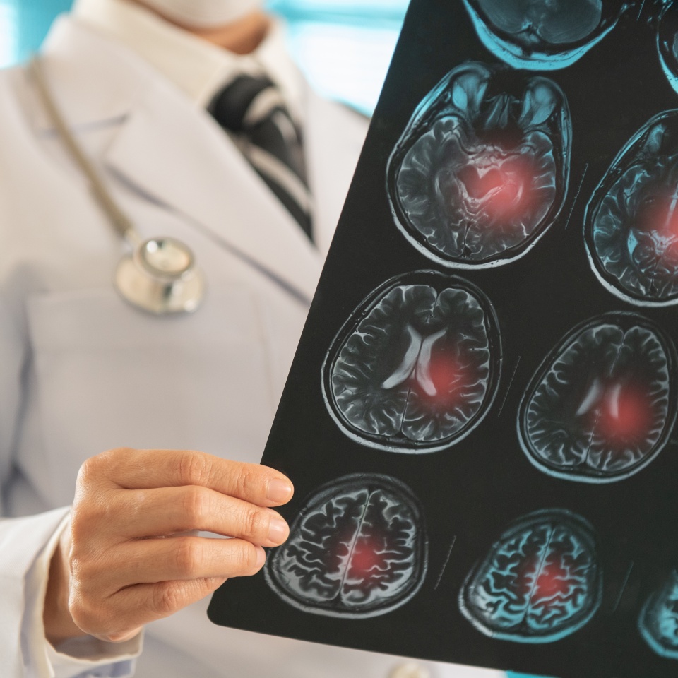 No description metadata found