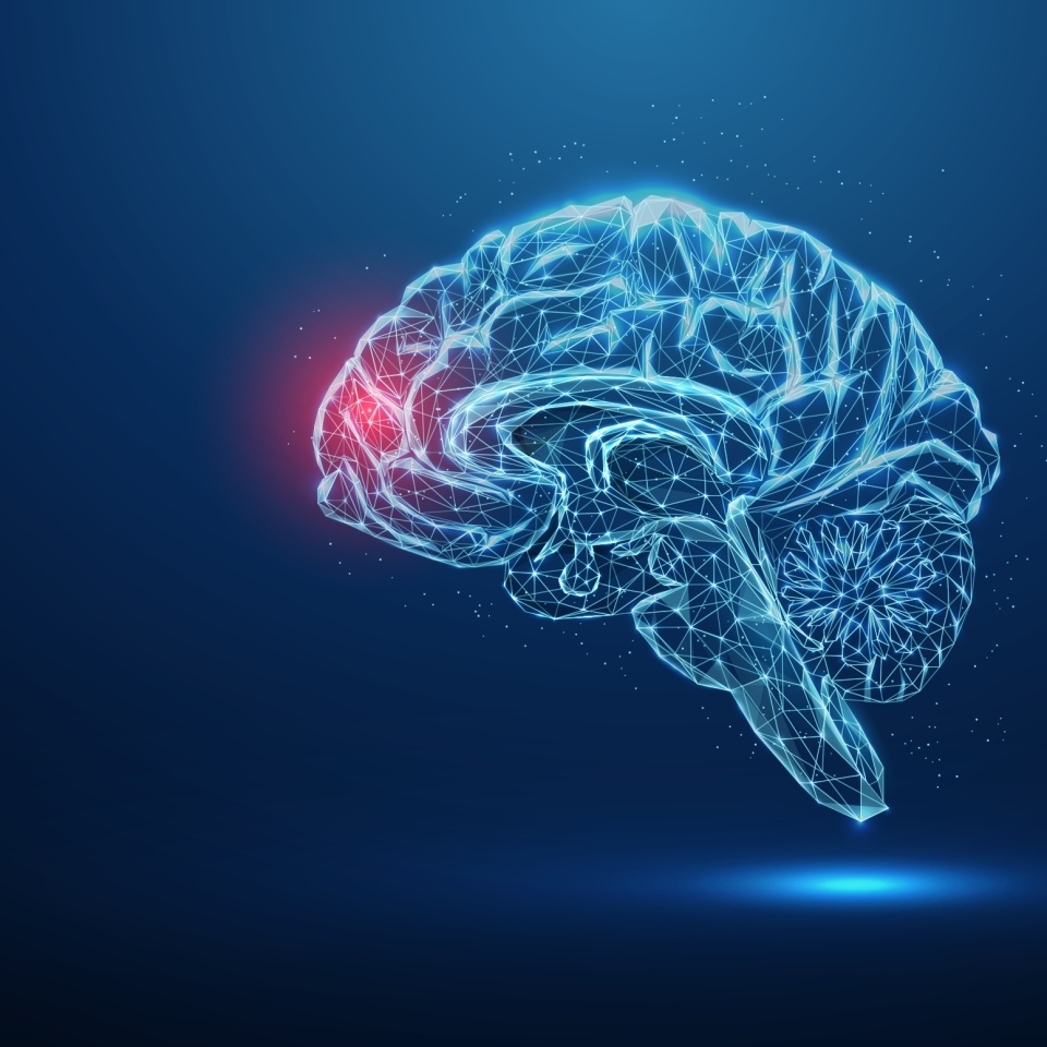 No description metadata found