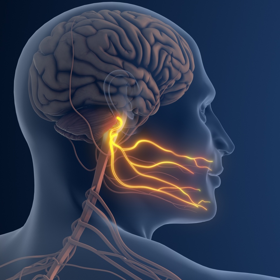 No description metadata found