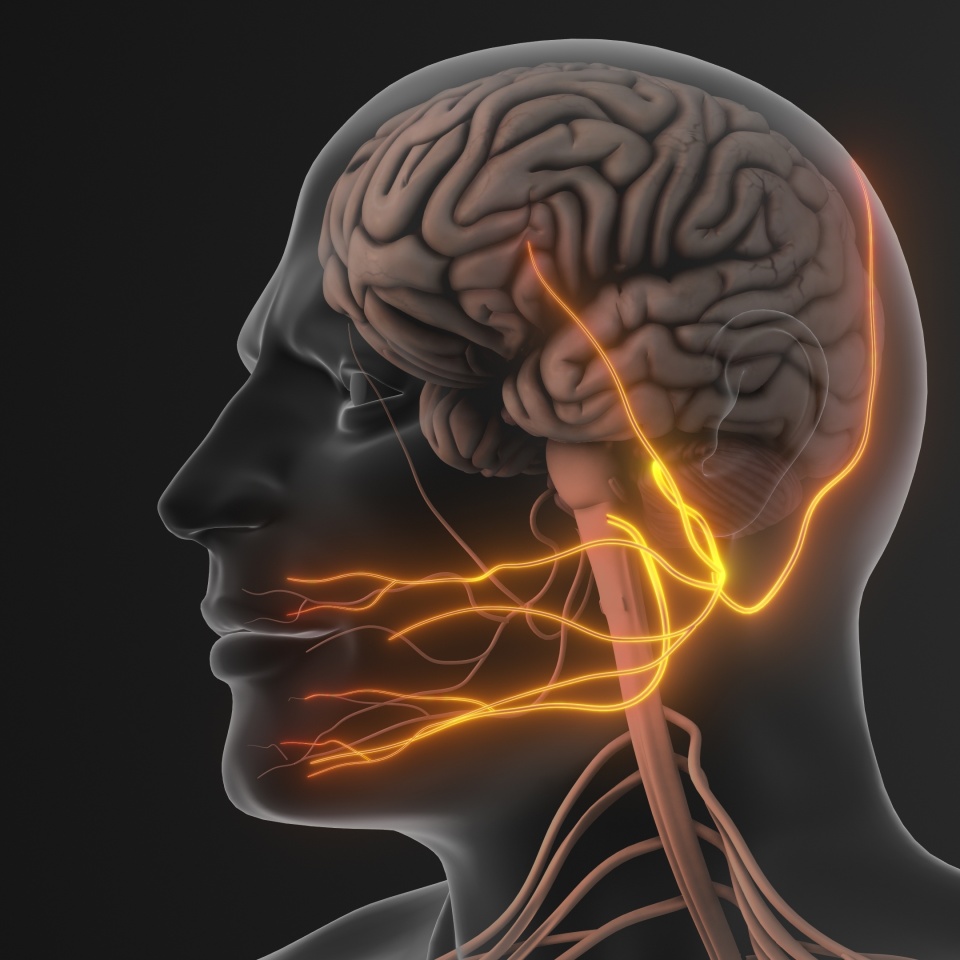 No description metadata found