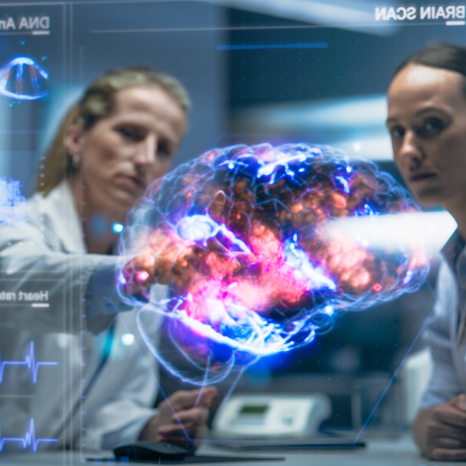 No description metadata found