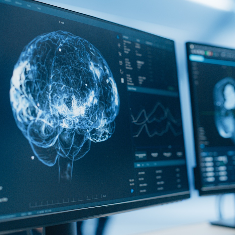 No description metadata found