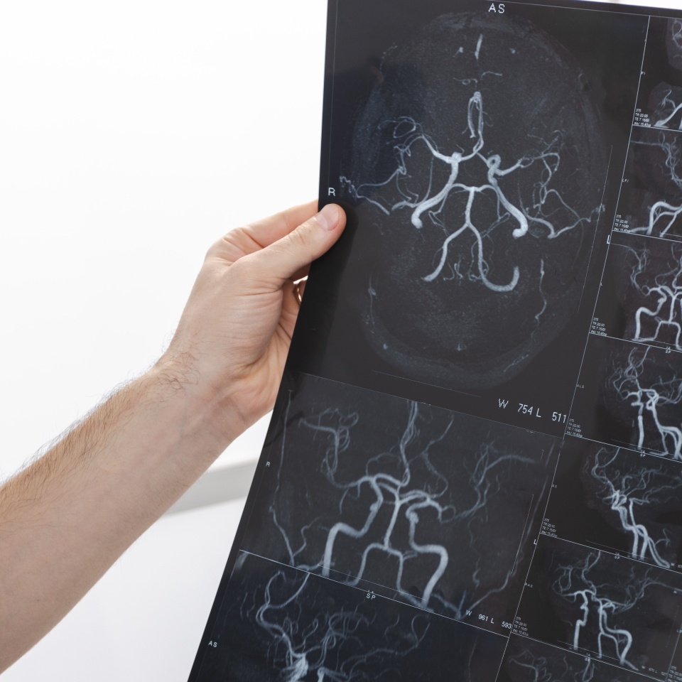 No description metadata found