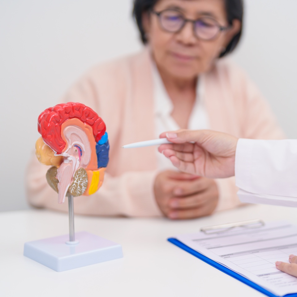 No description metadata found