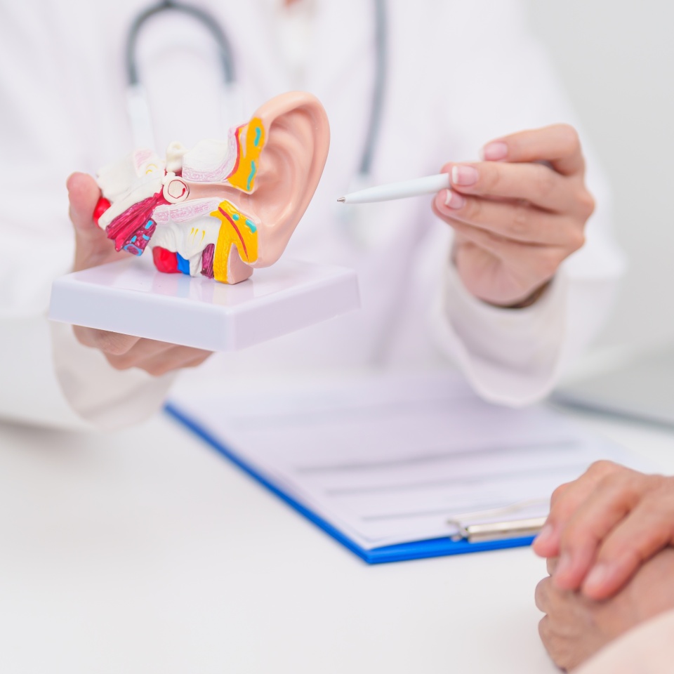 No description metadata found