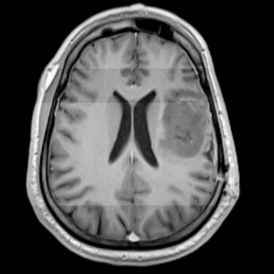 No description metadata found