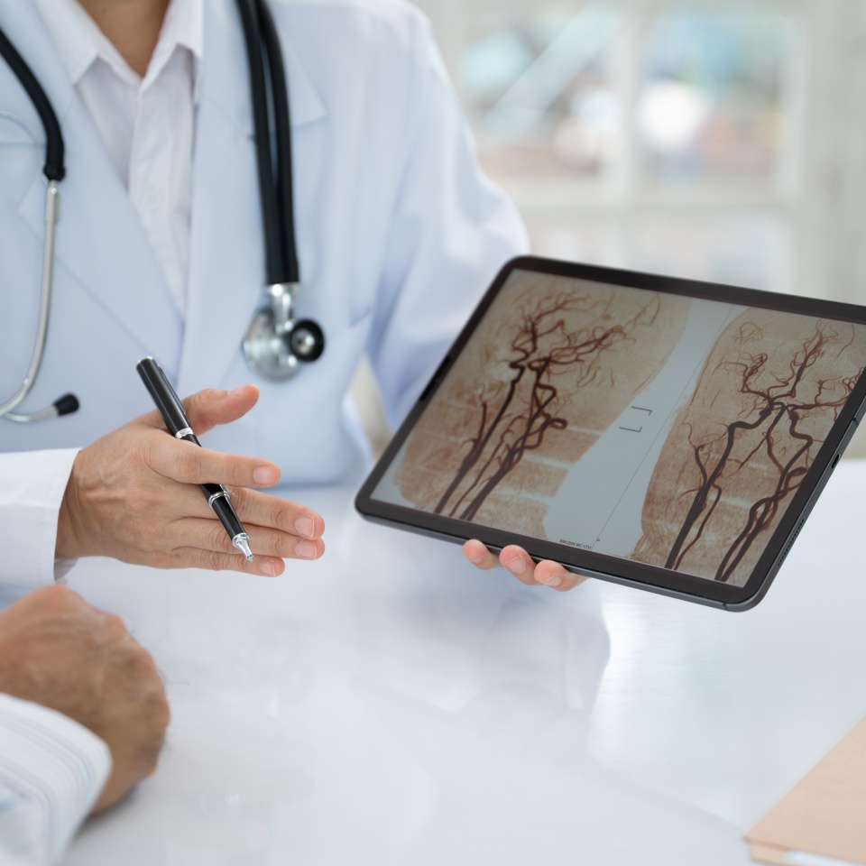 No description metadata found