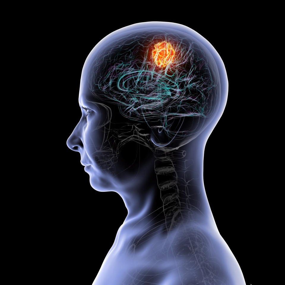 No description metadata found