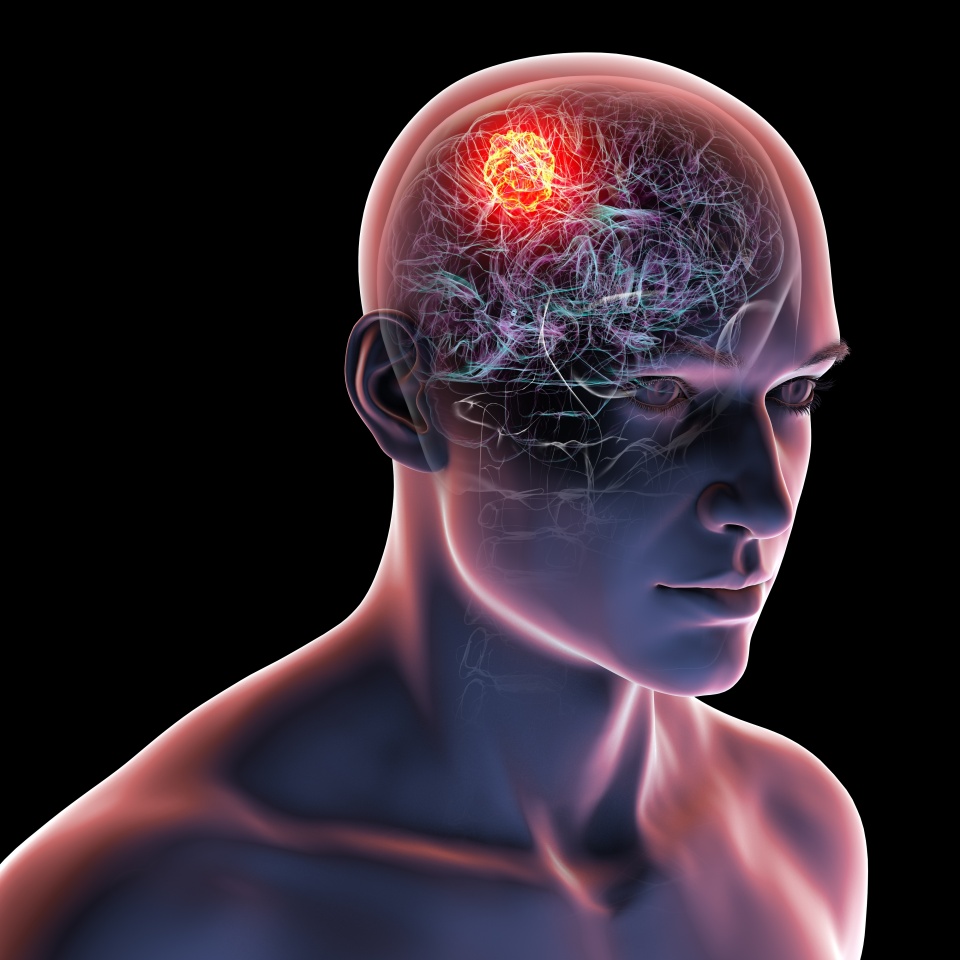 No description metadata found