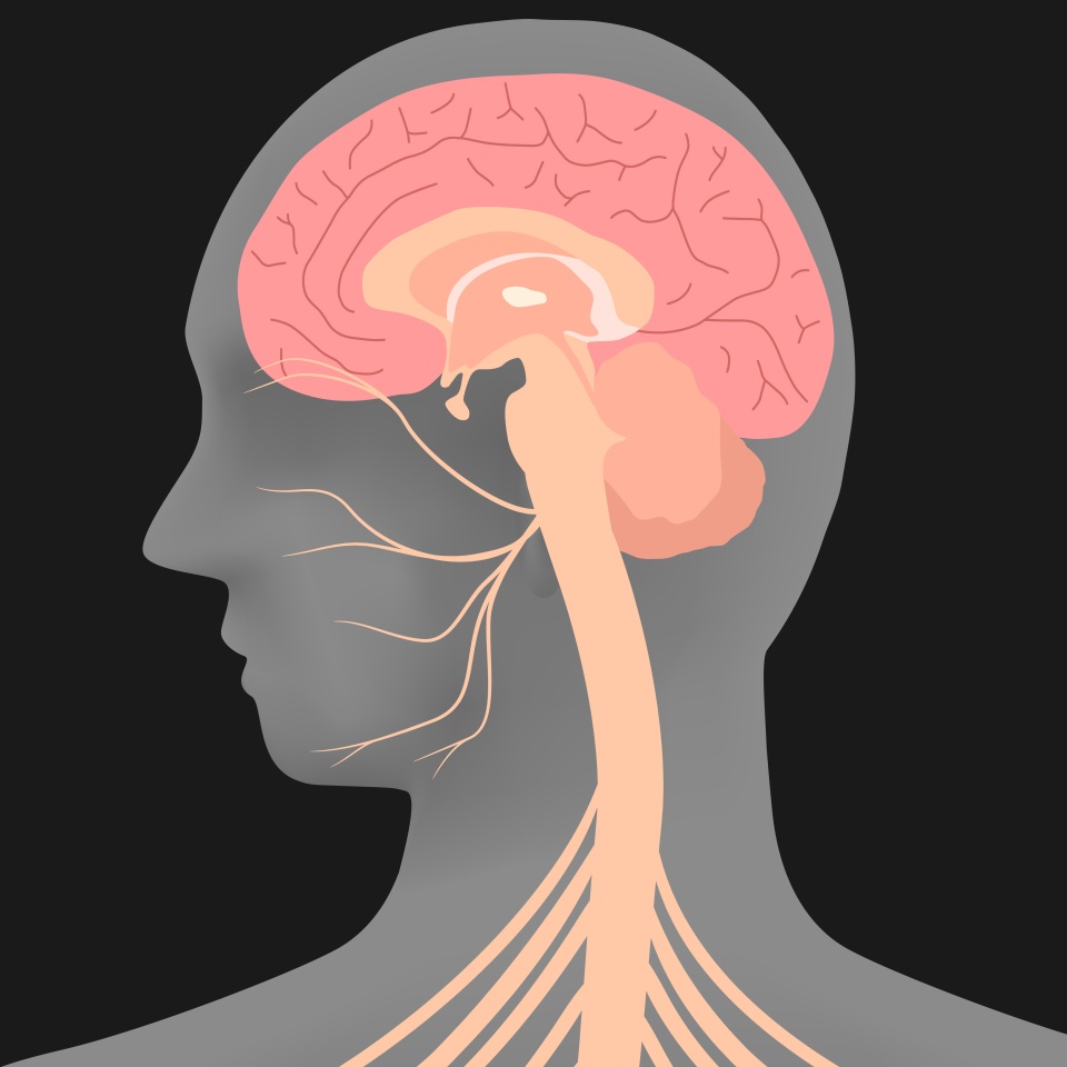 No description metadata found