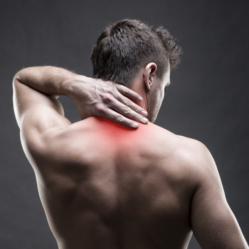 No description metadata found