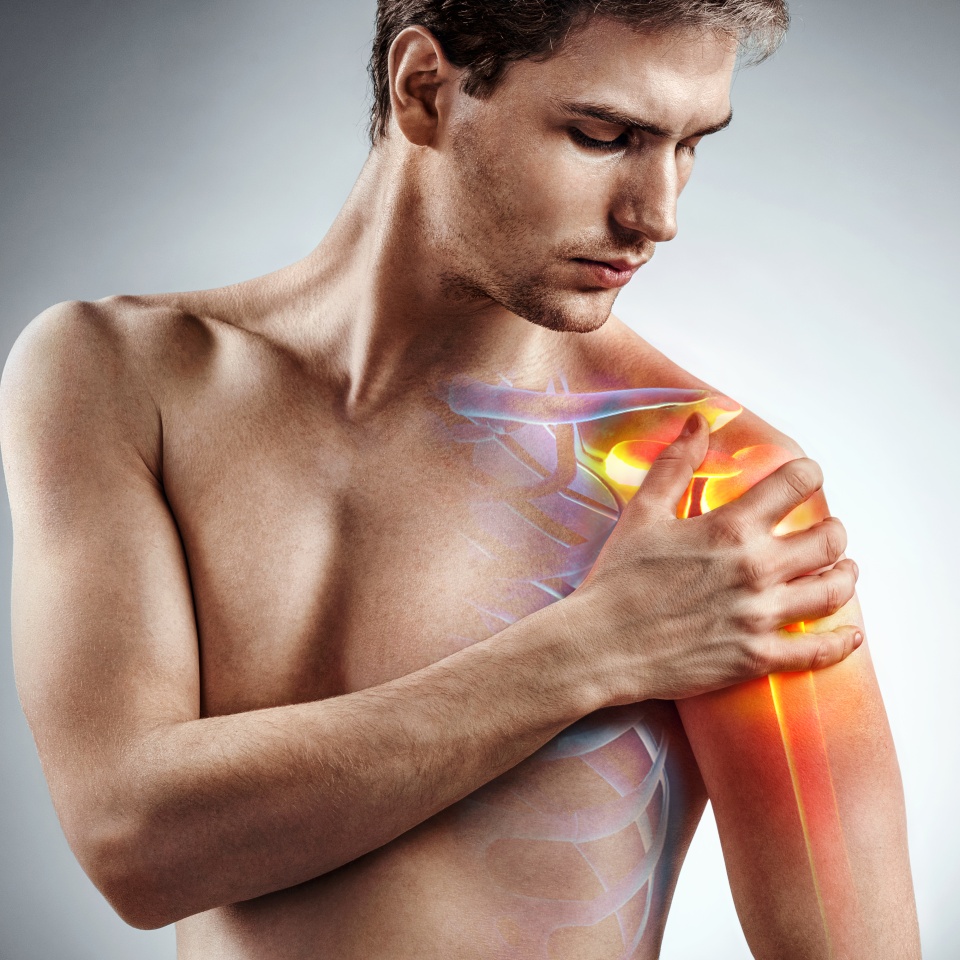 No description metadata found